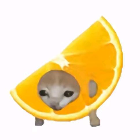 概率问题