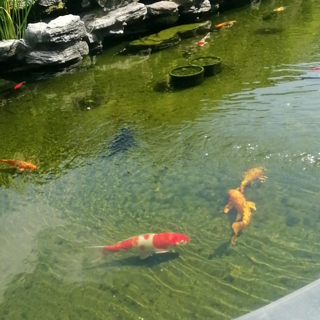 木生火≈土生金