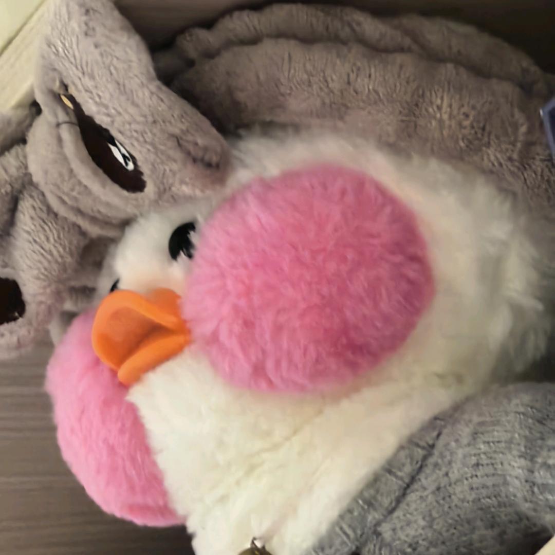 苏安Q