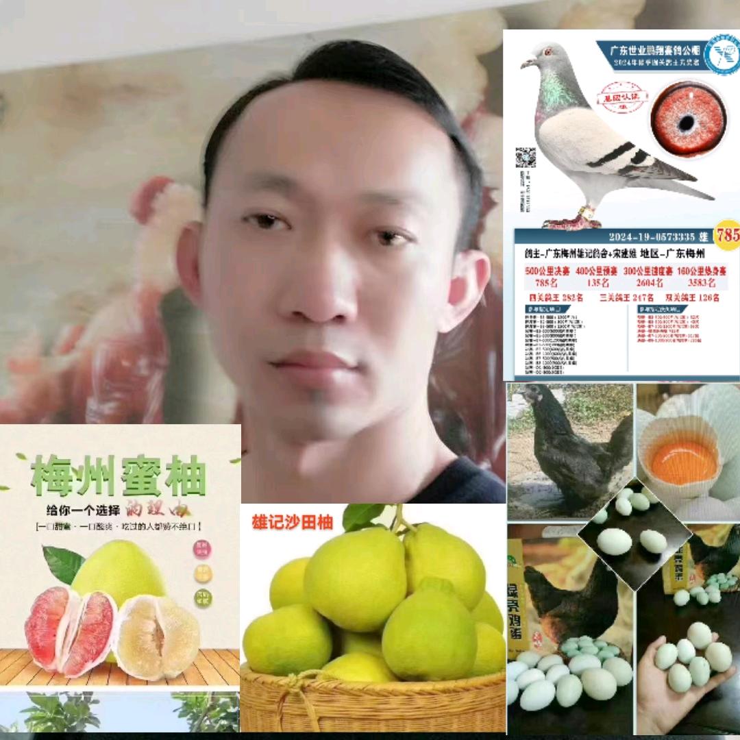 白渡雄记金柚商行