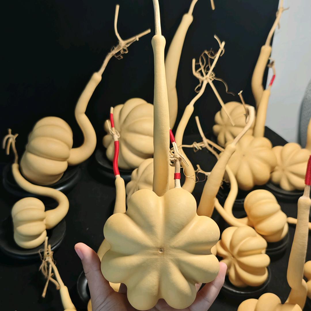 葫芦地里的糊涂虫