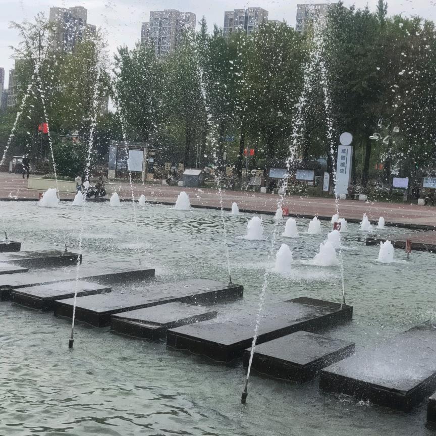 尧尧