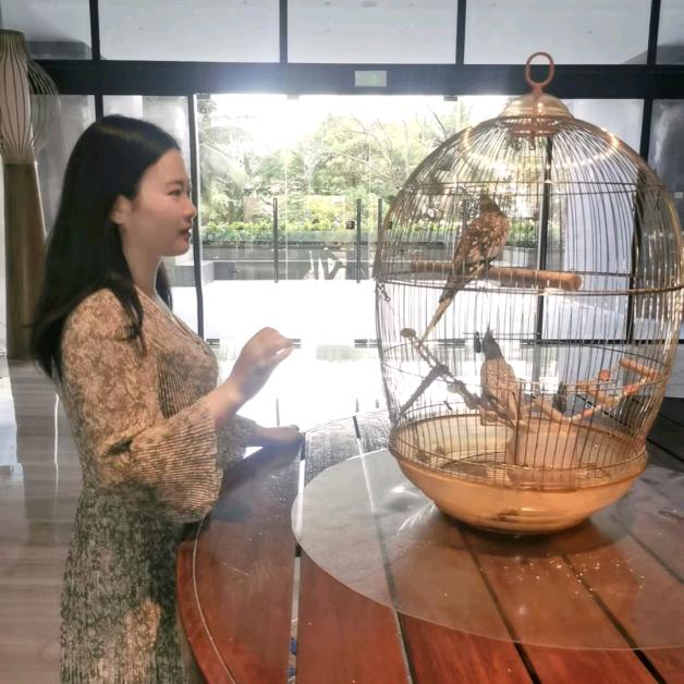 红红姐（首播筹备）