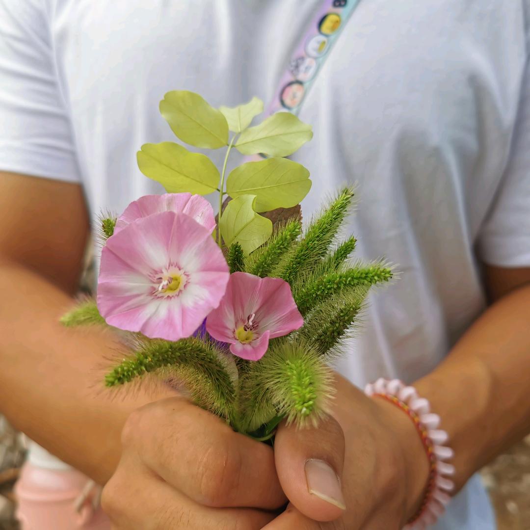 爱饼干的黑铁塔