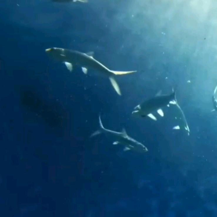 永泽头像
