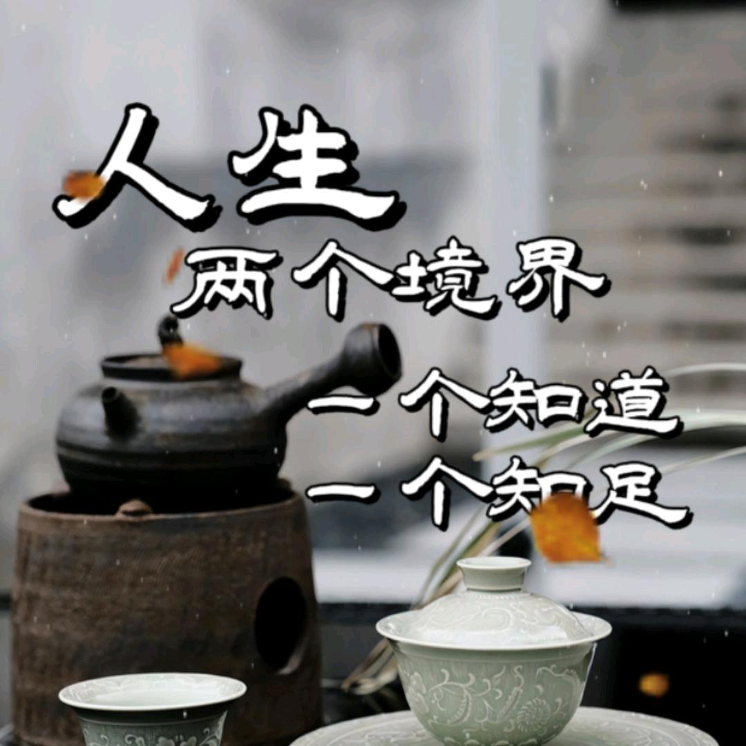 一切¥随缘