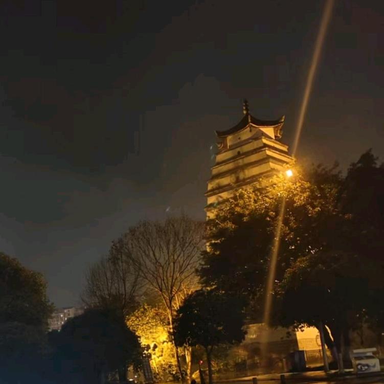 偷得浮生半日闲