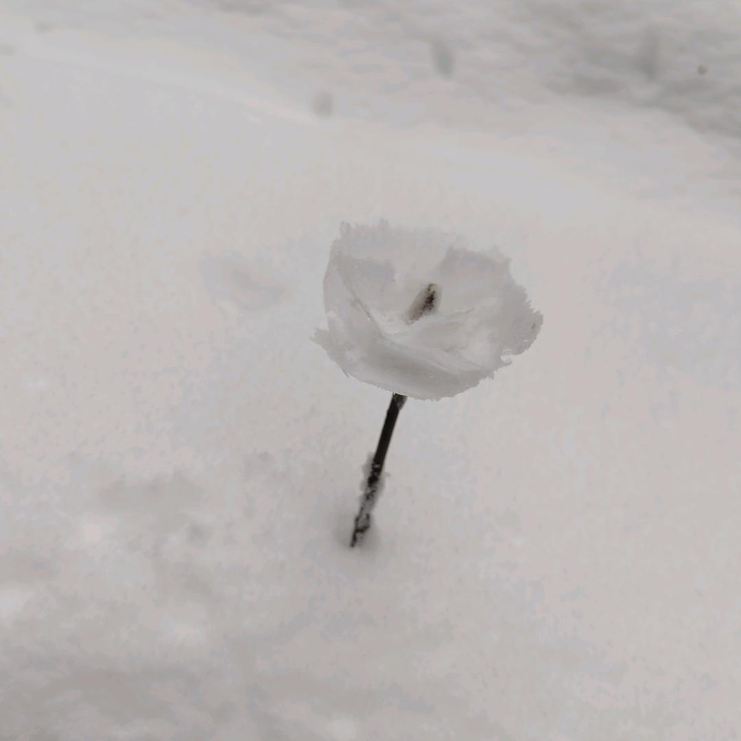 醉酒很随意