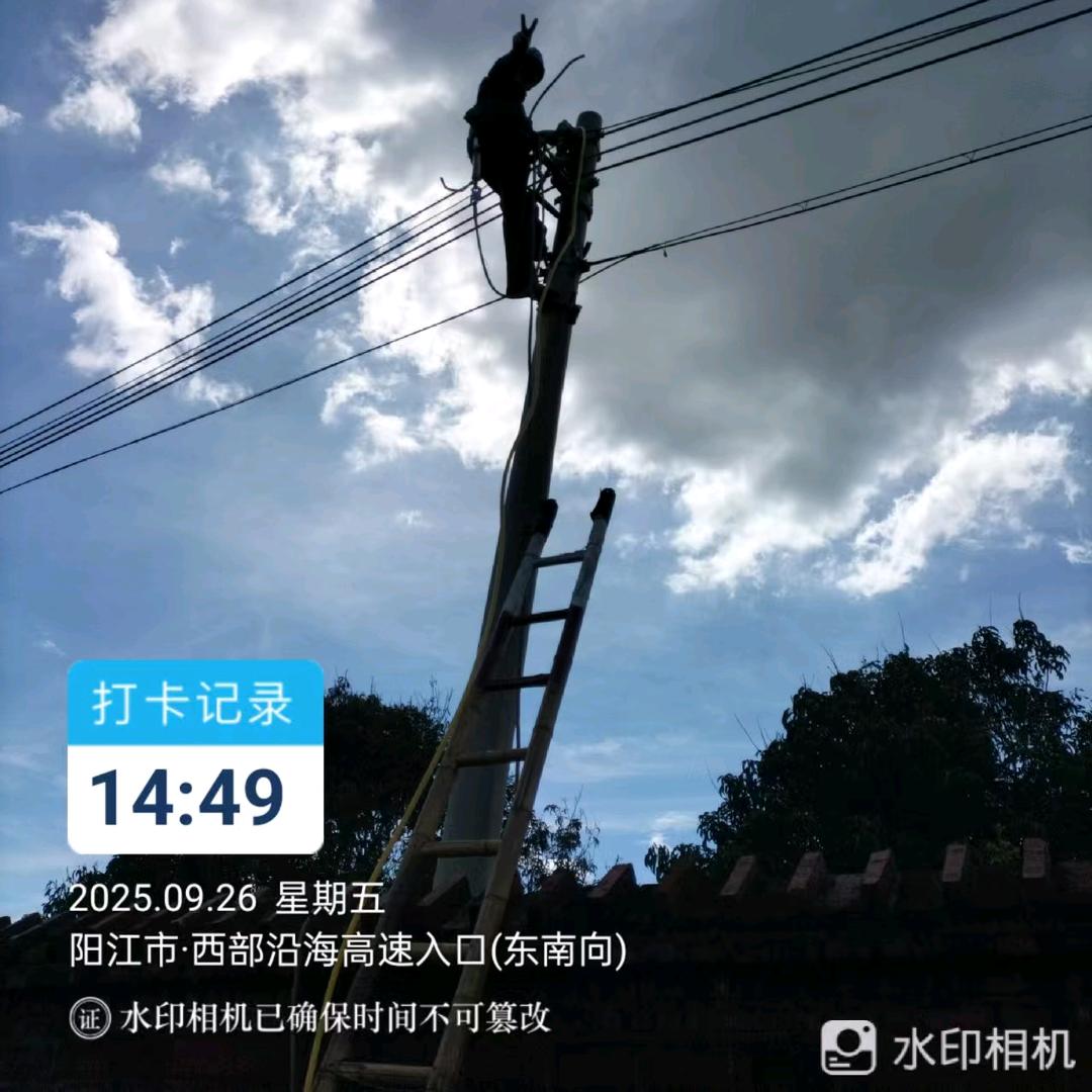 巜譚家》电力工