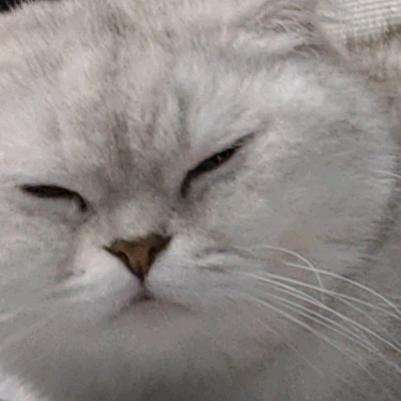 碰飞