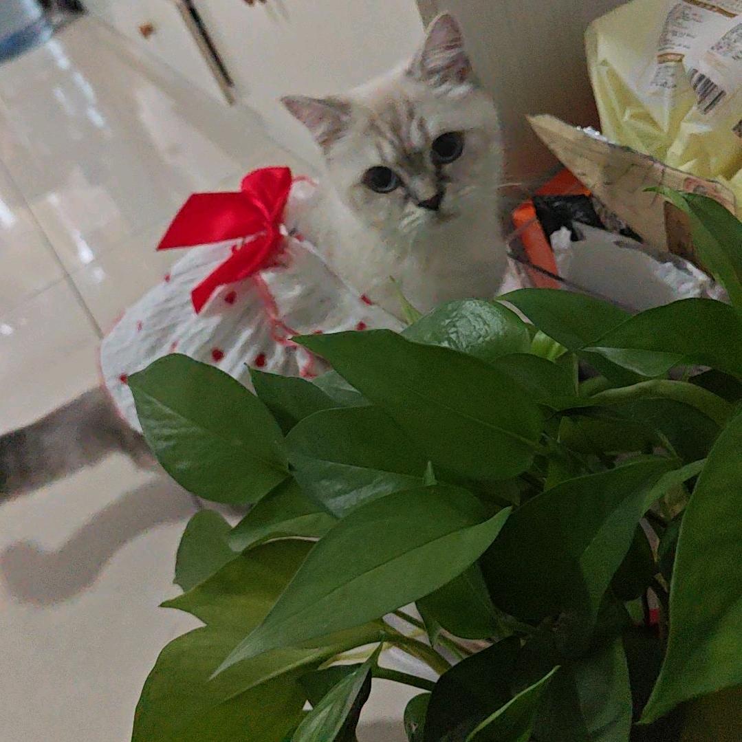 💞້໌ᮨ⃝好ᨶ႒ᩚ运ᥫᩣ໌້ᮨ加满✨