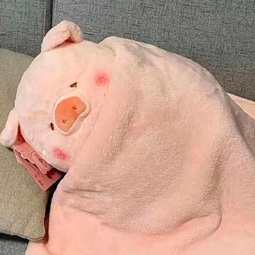不知名小猪