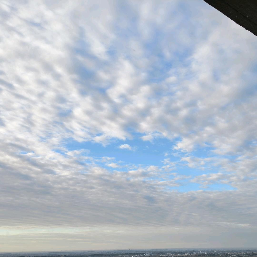 草莓子酱（80斤到300斤）