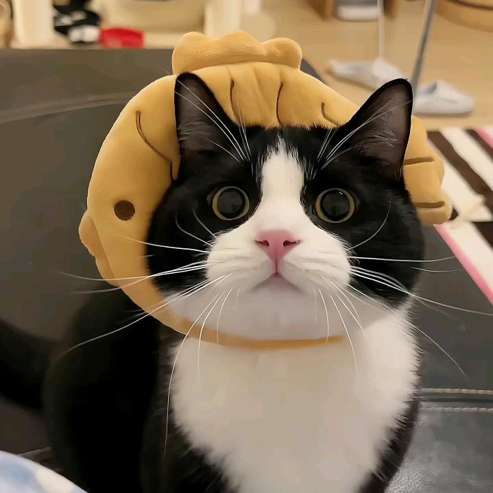 歪爆牙