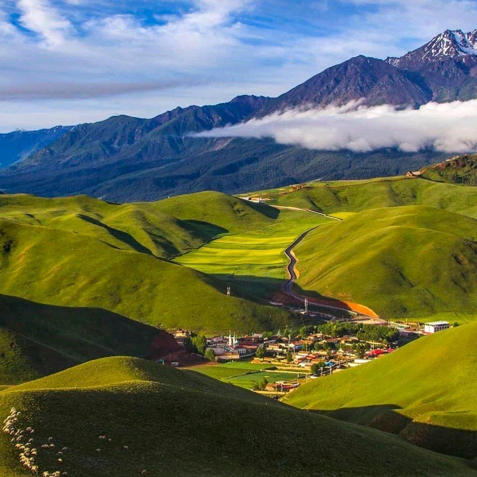 河南五妹🌹🌹💝💝