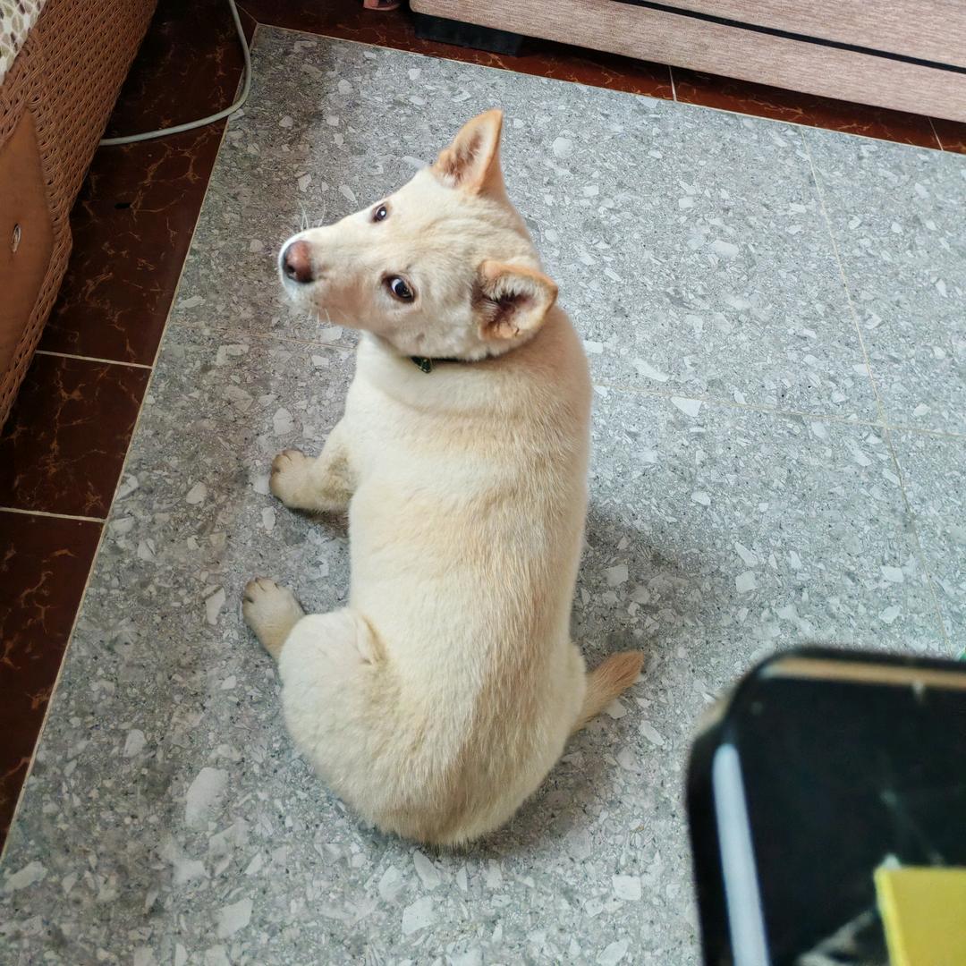 不念过往