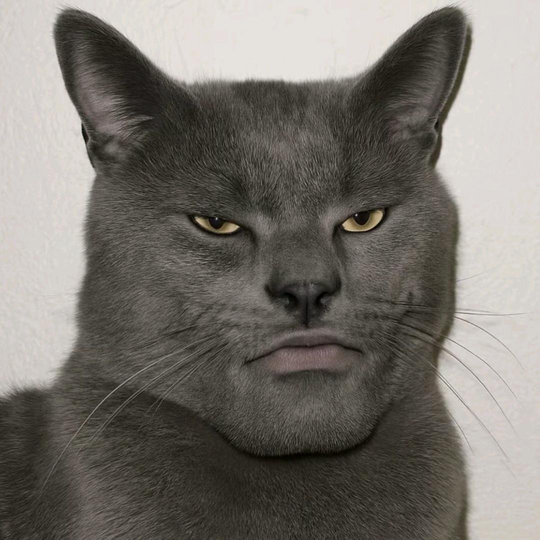 Jerryrry