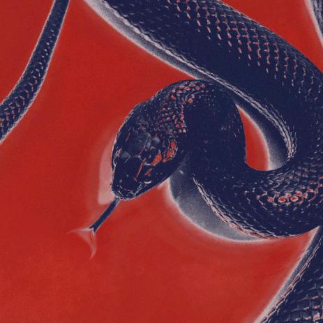 尾钉