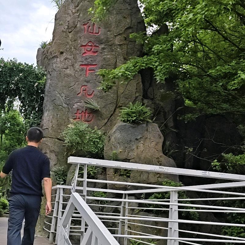 阳哥Z