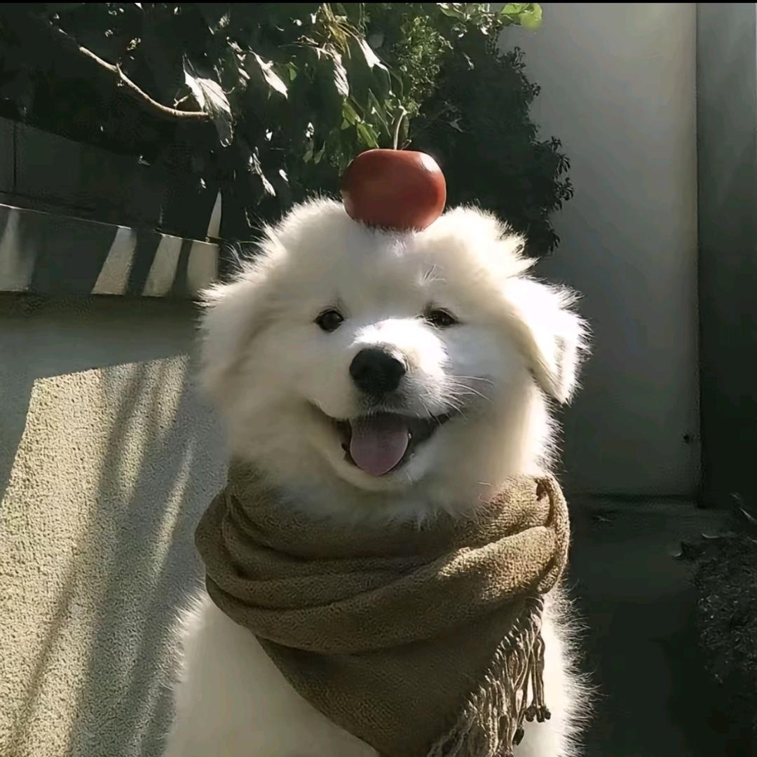 困厄