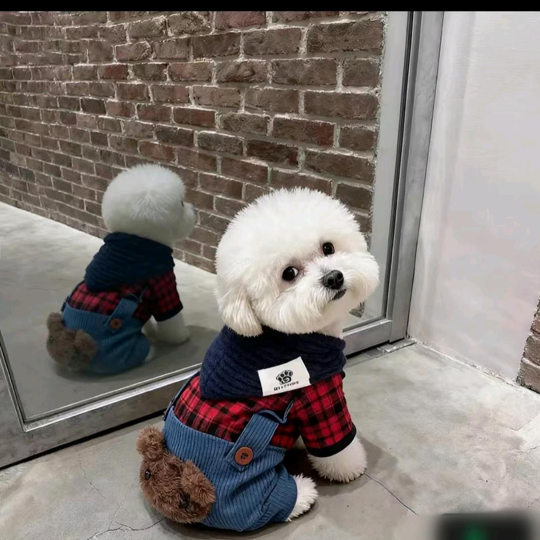 ℳ̶̶̶̶♡̶҉ 安🍀然 ℳᥫ