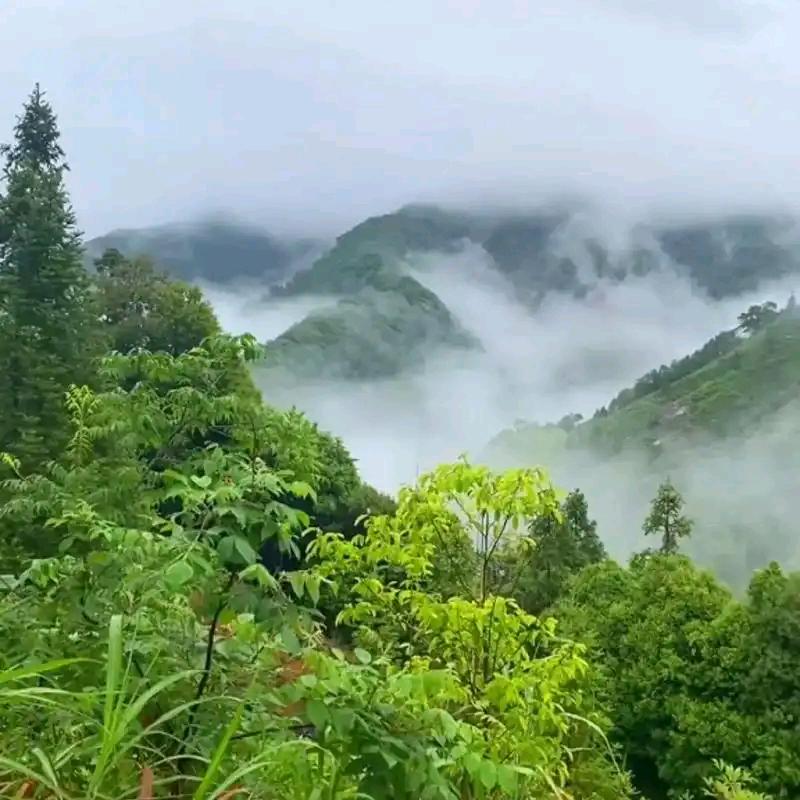 红蓝—雨后山