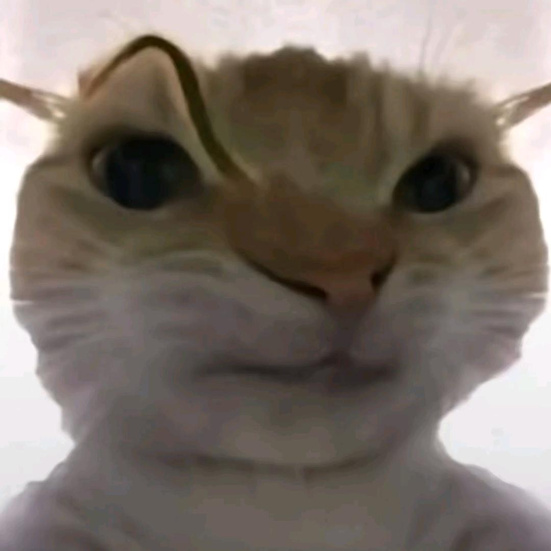 tt