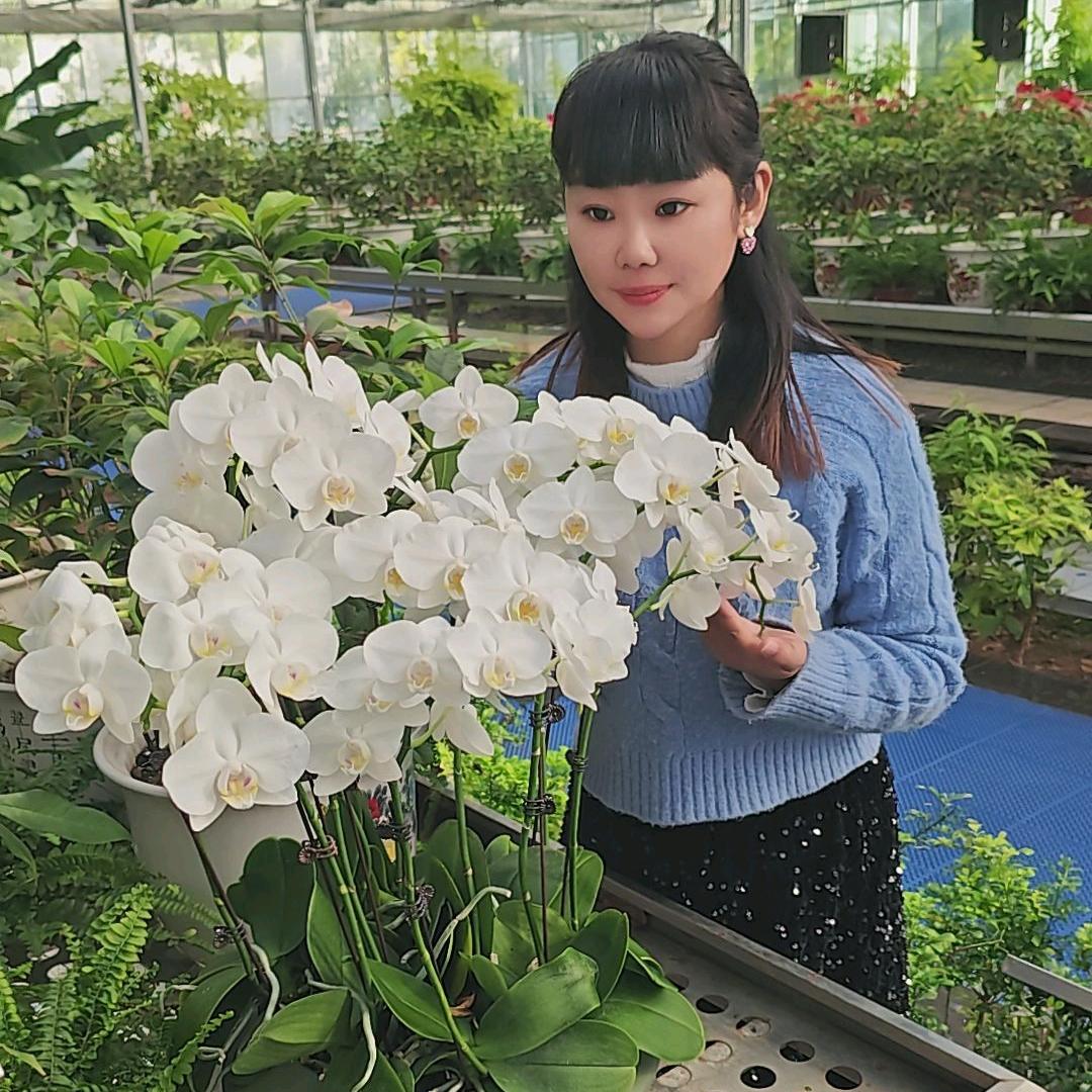 🍀蓉寶🍀