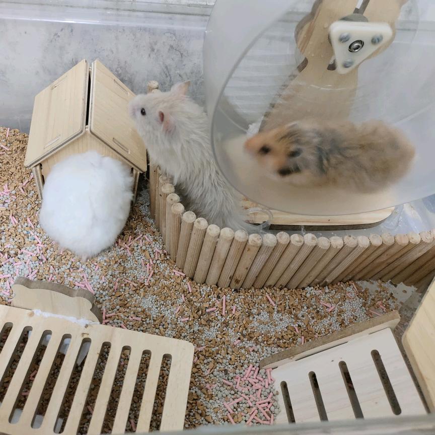 每日一问