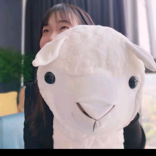 眷眷百货