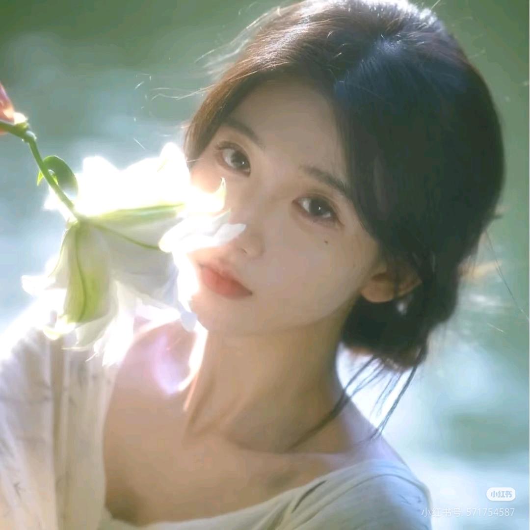 招财福宝☀️