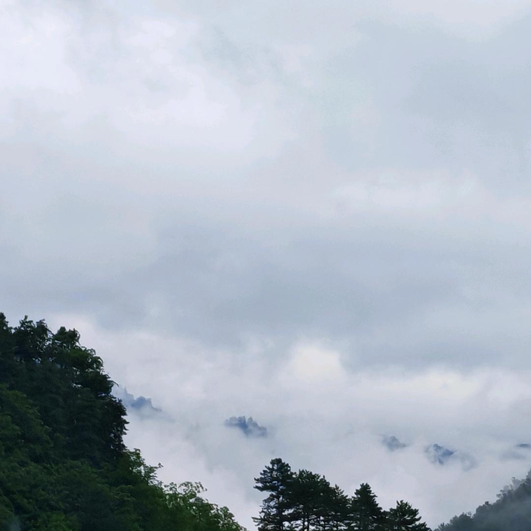 金色流年