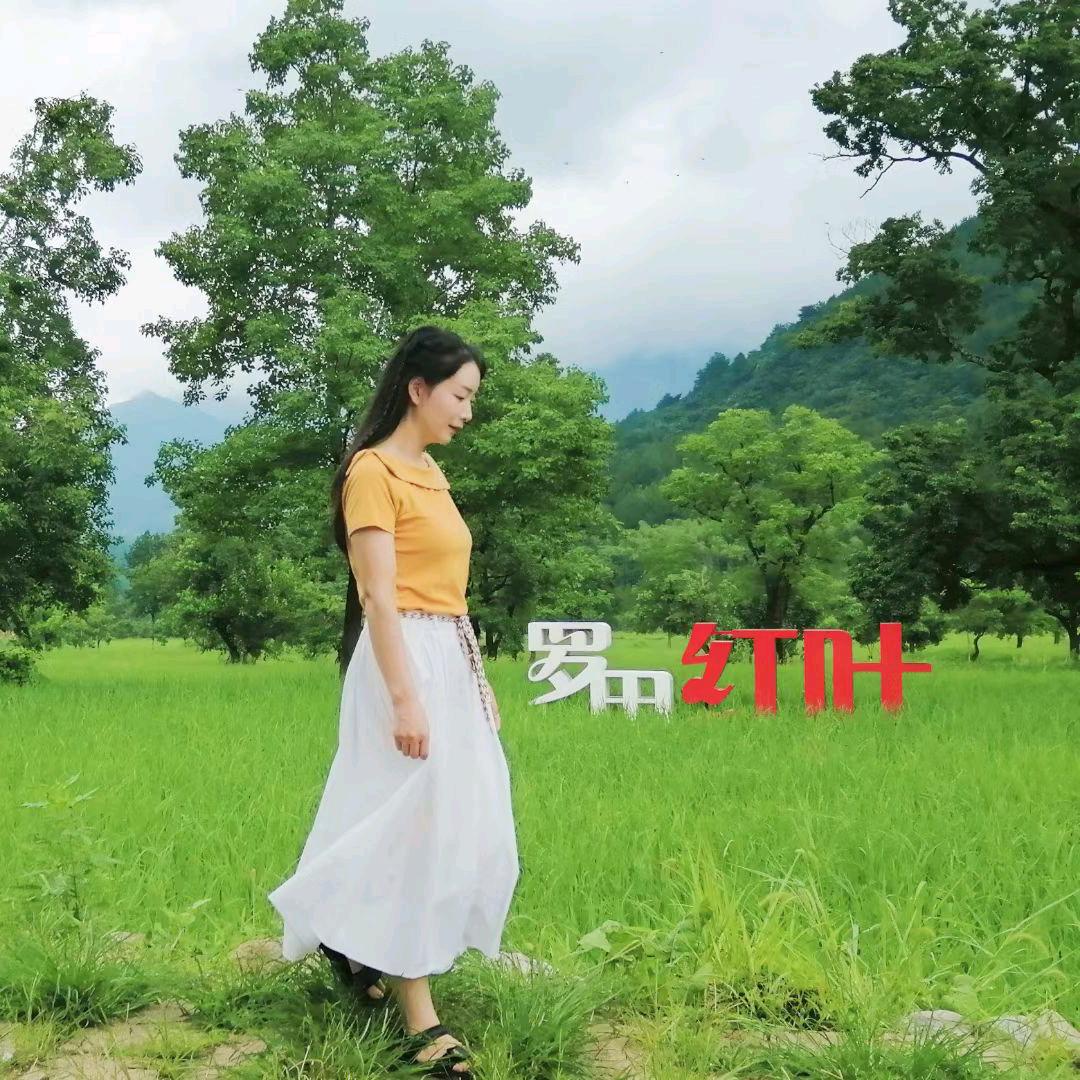 大别山燕子(罗田三里畈温泉)