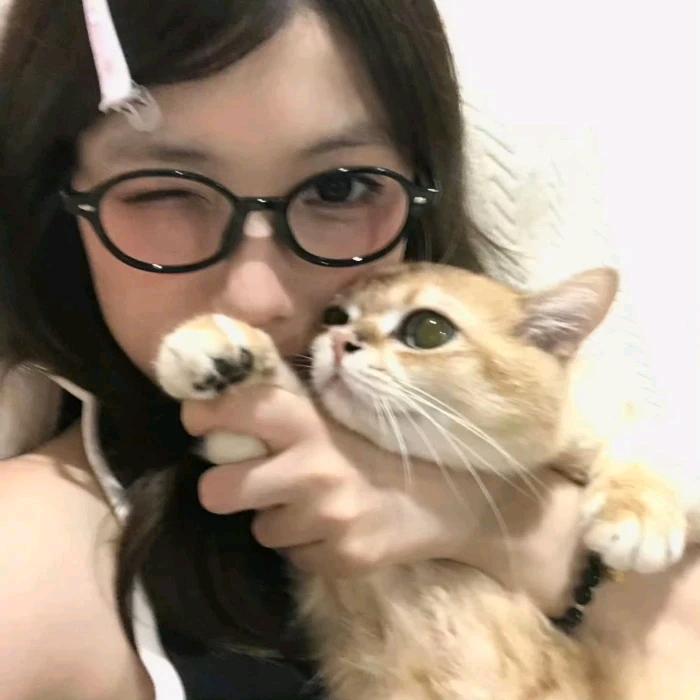 柒柒.