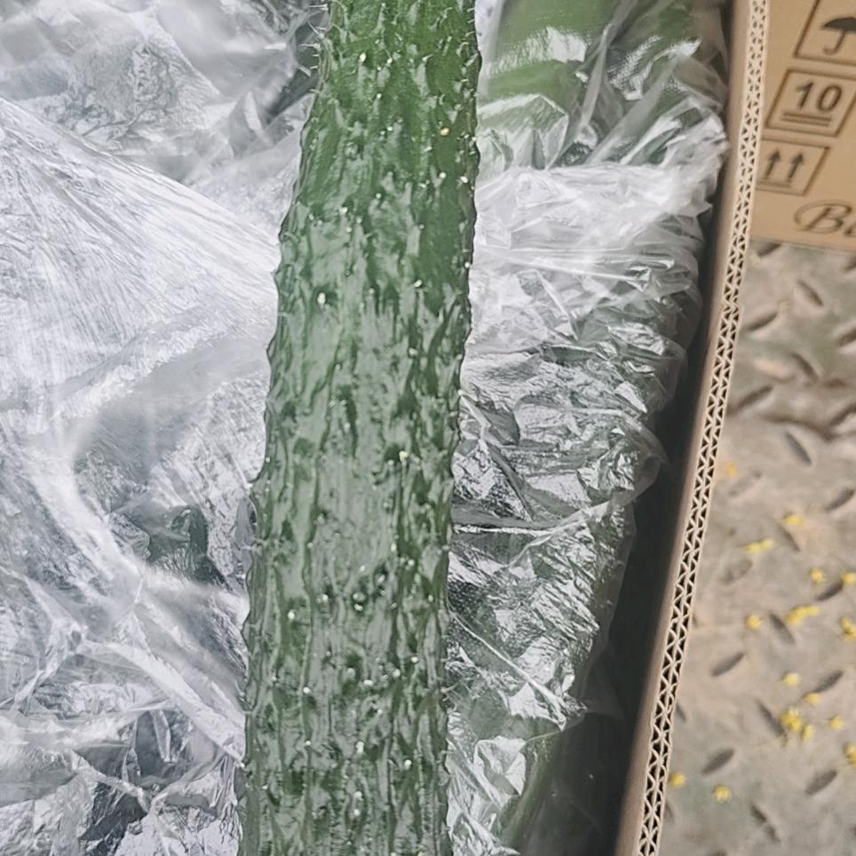 博爱蒋村蔬菜代办小黄