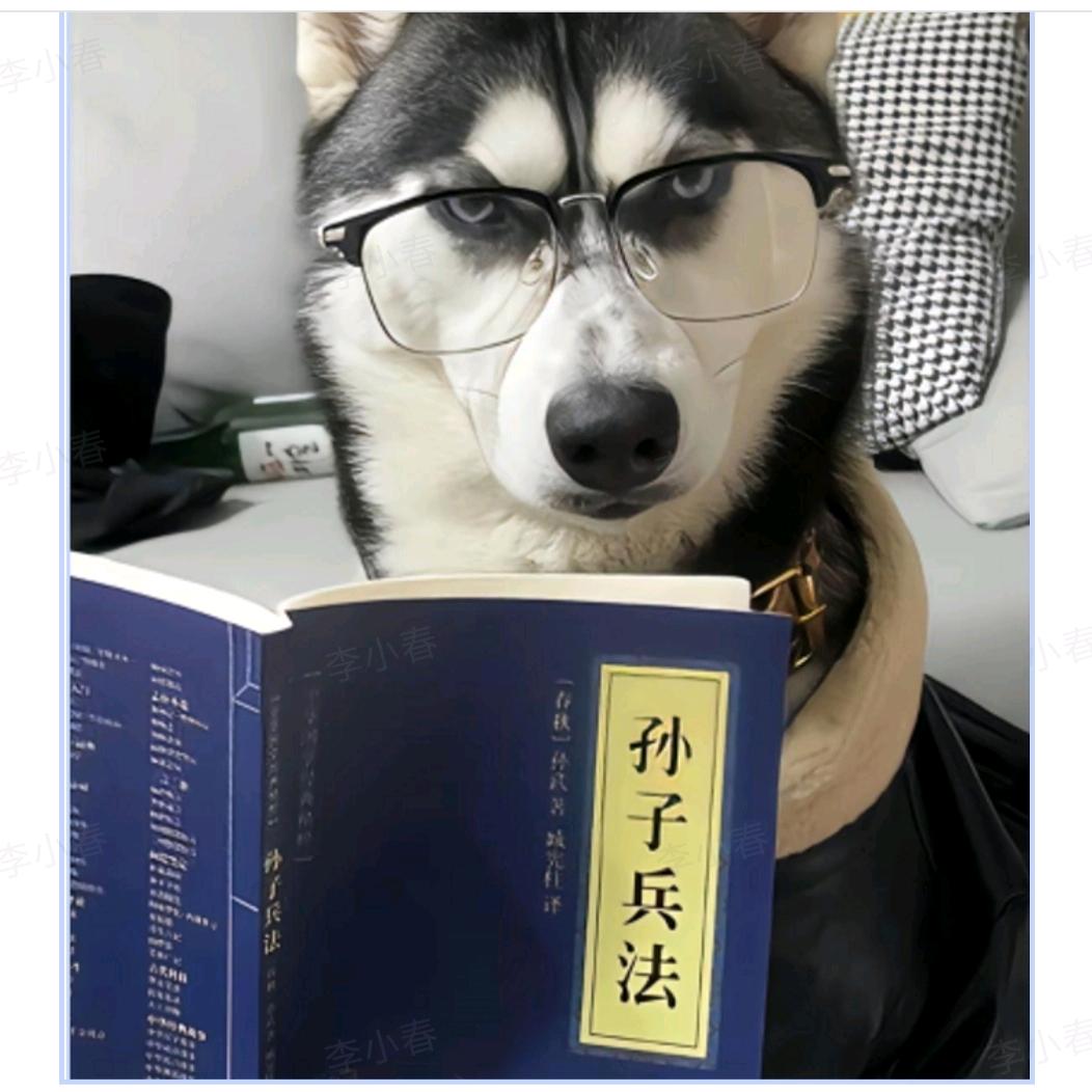 搞笑十点半，皮皮搞笑歌