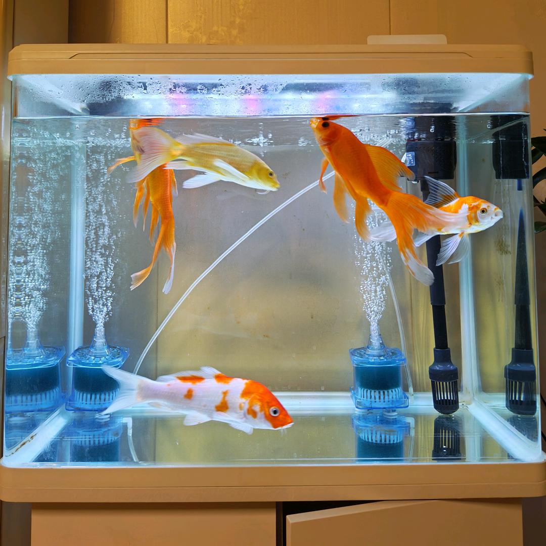 中国广电昌邑北孟营业厅