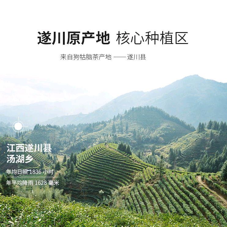 狗牯脑茶产地批零业