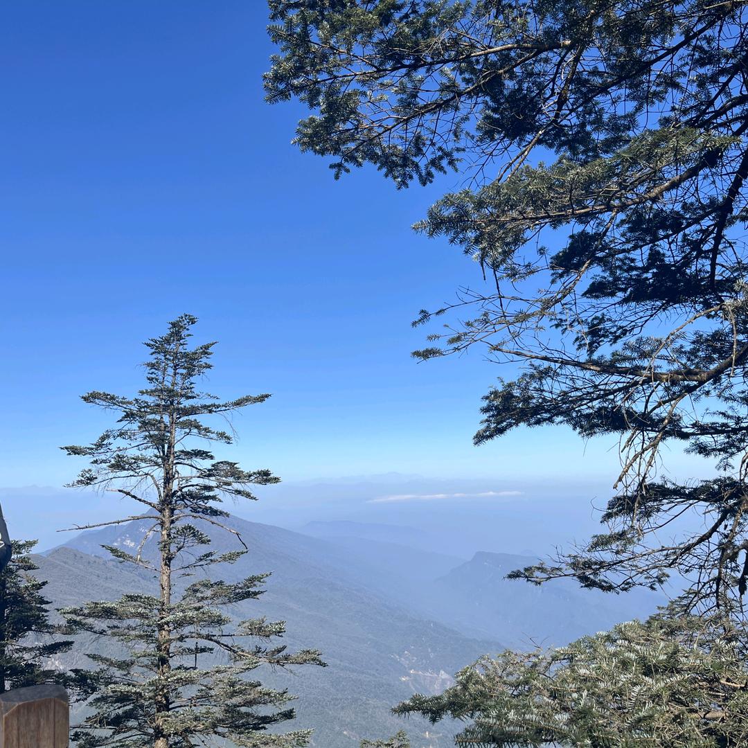 🌈🌈🌈财来运来