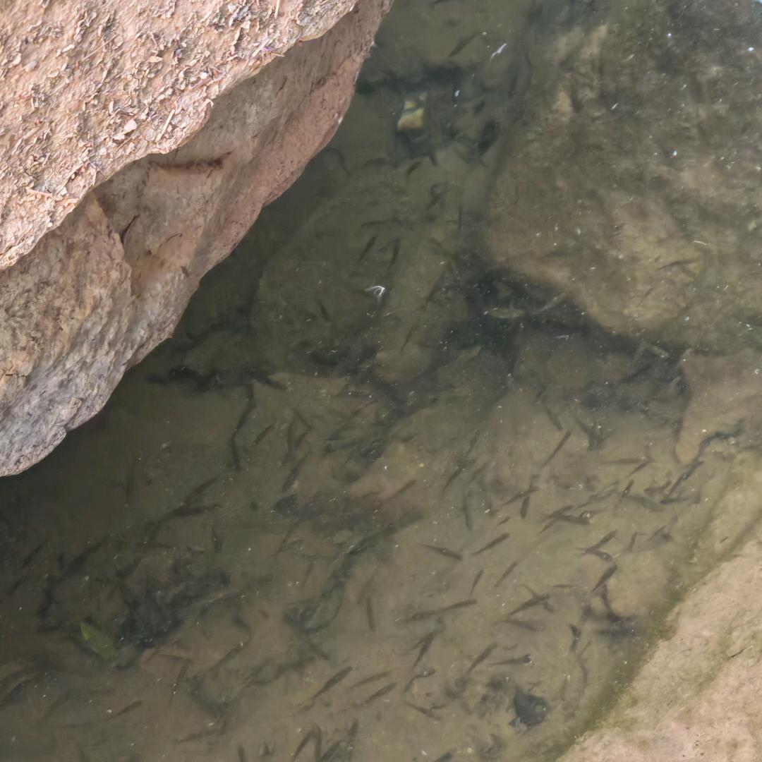 达瓦签约未成功钓手