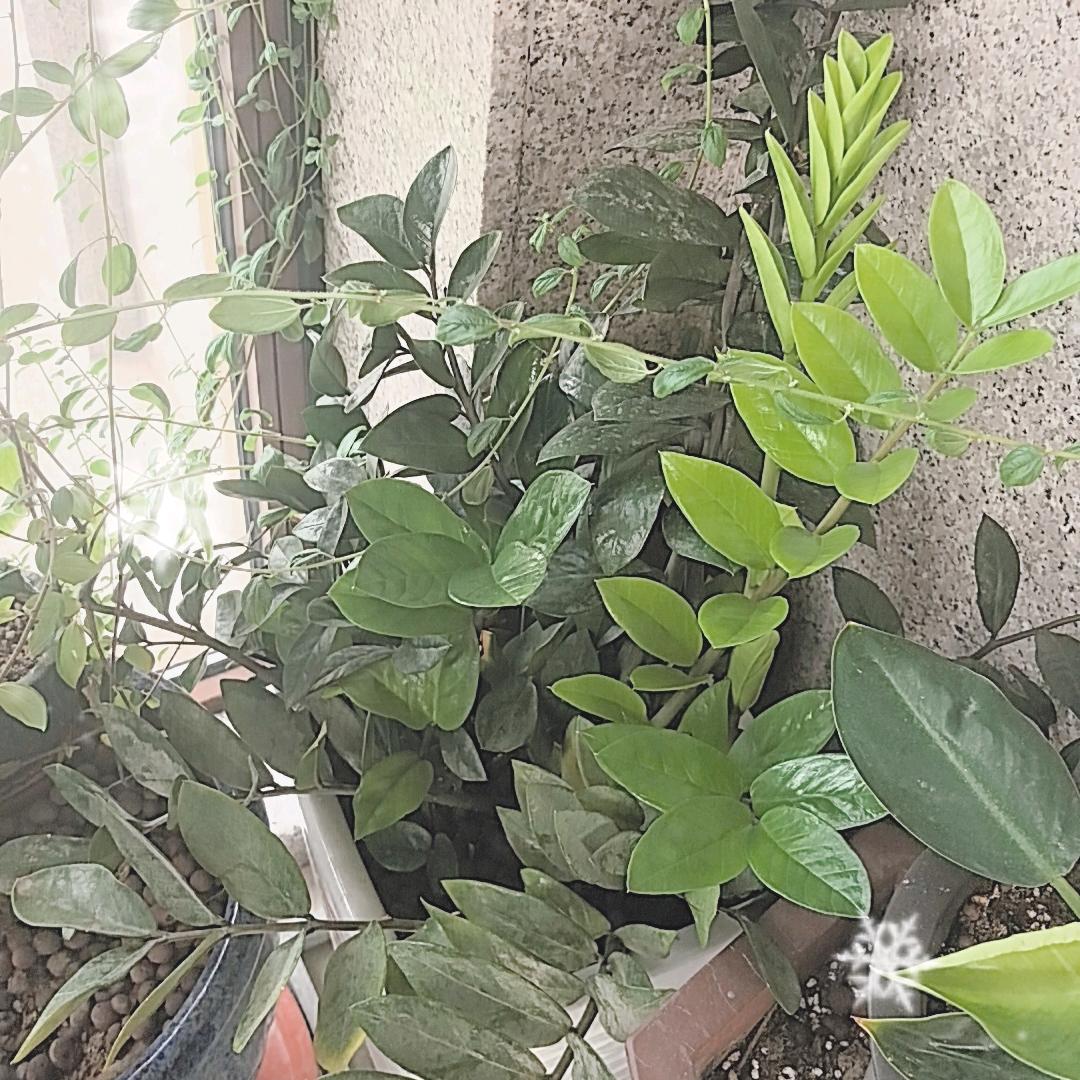 天下天下天下天下