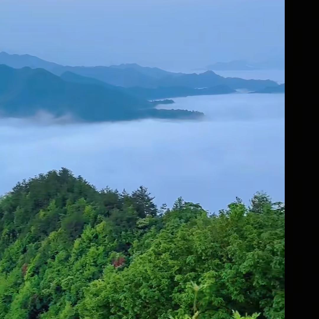一只花