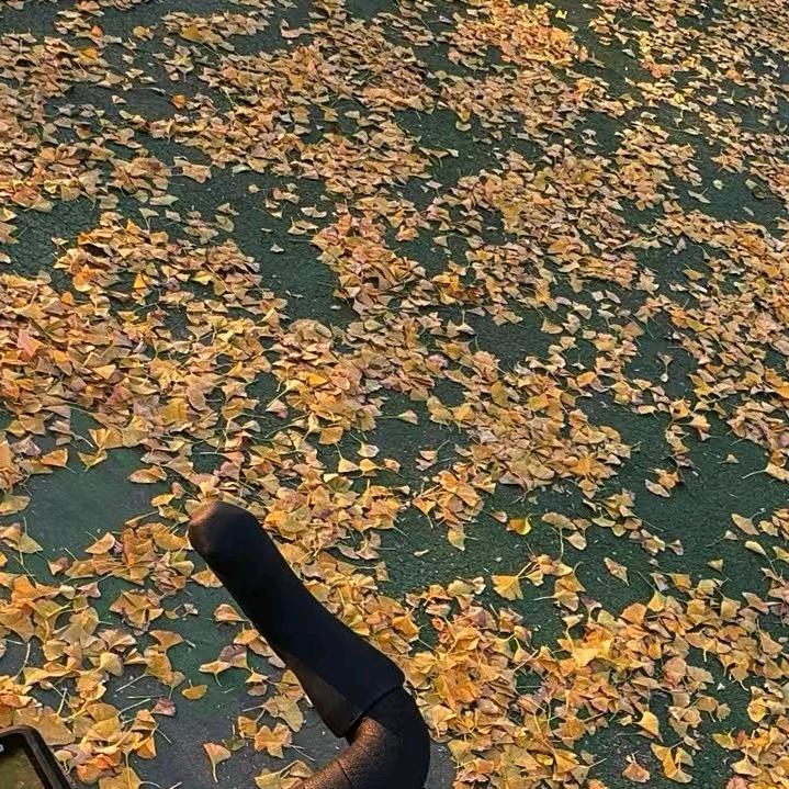 金牛