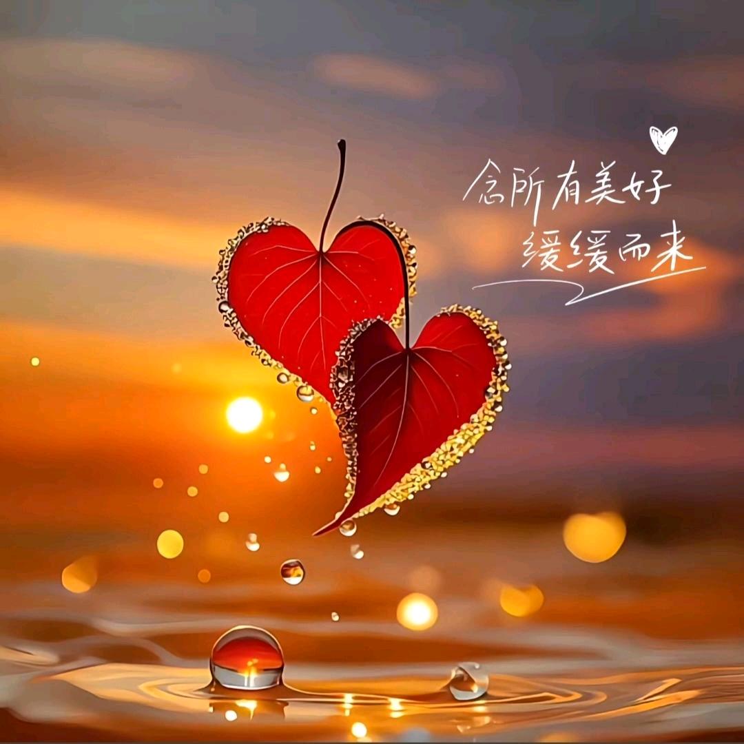 🍀余生᭄🕊随心᭄🍒