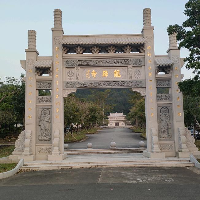 🌻百合依然🌻