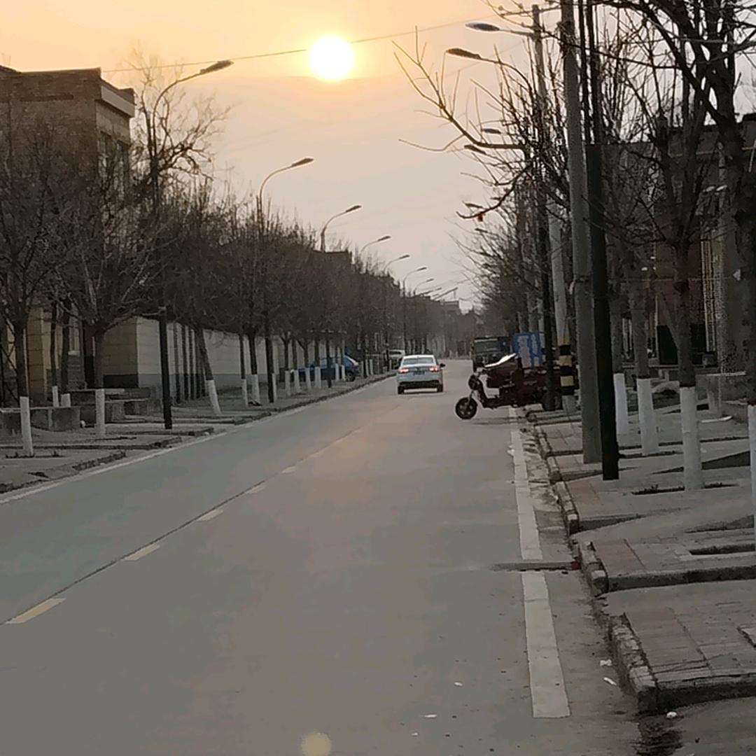 迟暮年华