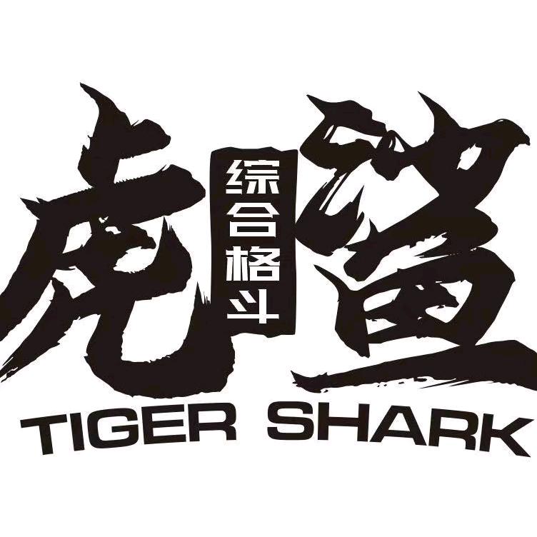 英杰虎鲨综合格斗～诺诺老师