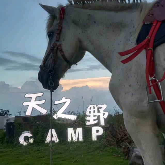 华夏传奇之王