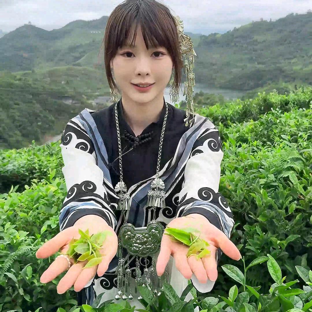碧匀都匀毛尖小助理