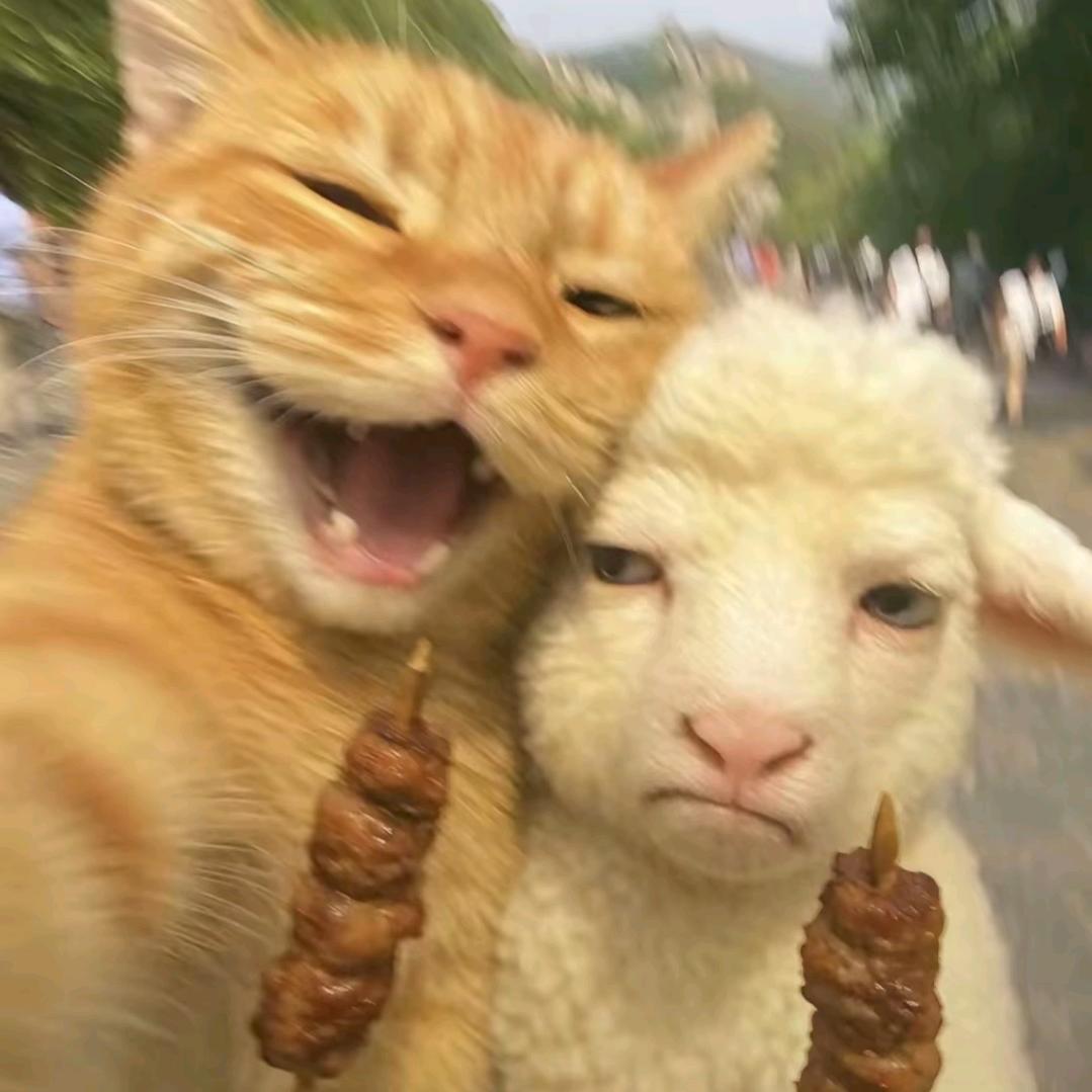 ✨⃢👁ܫ👁⃢✨